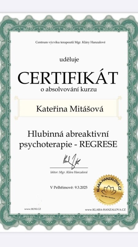 Regrese, minulé životy, odvod entit, duší